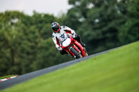 PJ-Motorsport-Photography-2020;anglesey;brands-hatch;cadwell-park;croft;donington-park;enduro-digital-images;event-digital-images;eventdigitalimages;mallory;no-limits;oulton-park;peter-wileman-photography;racing-digital-images;silverstone;snetterton;trackday-digital-images;trackday-photos;vmcc-banbury-run;welsh-2-day-enduro